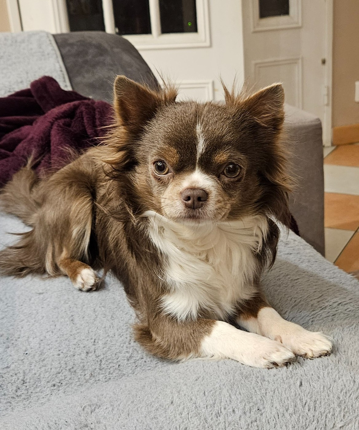 Azur Des Perles Du Plessis