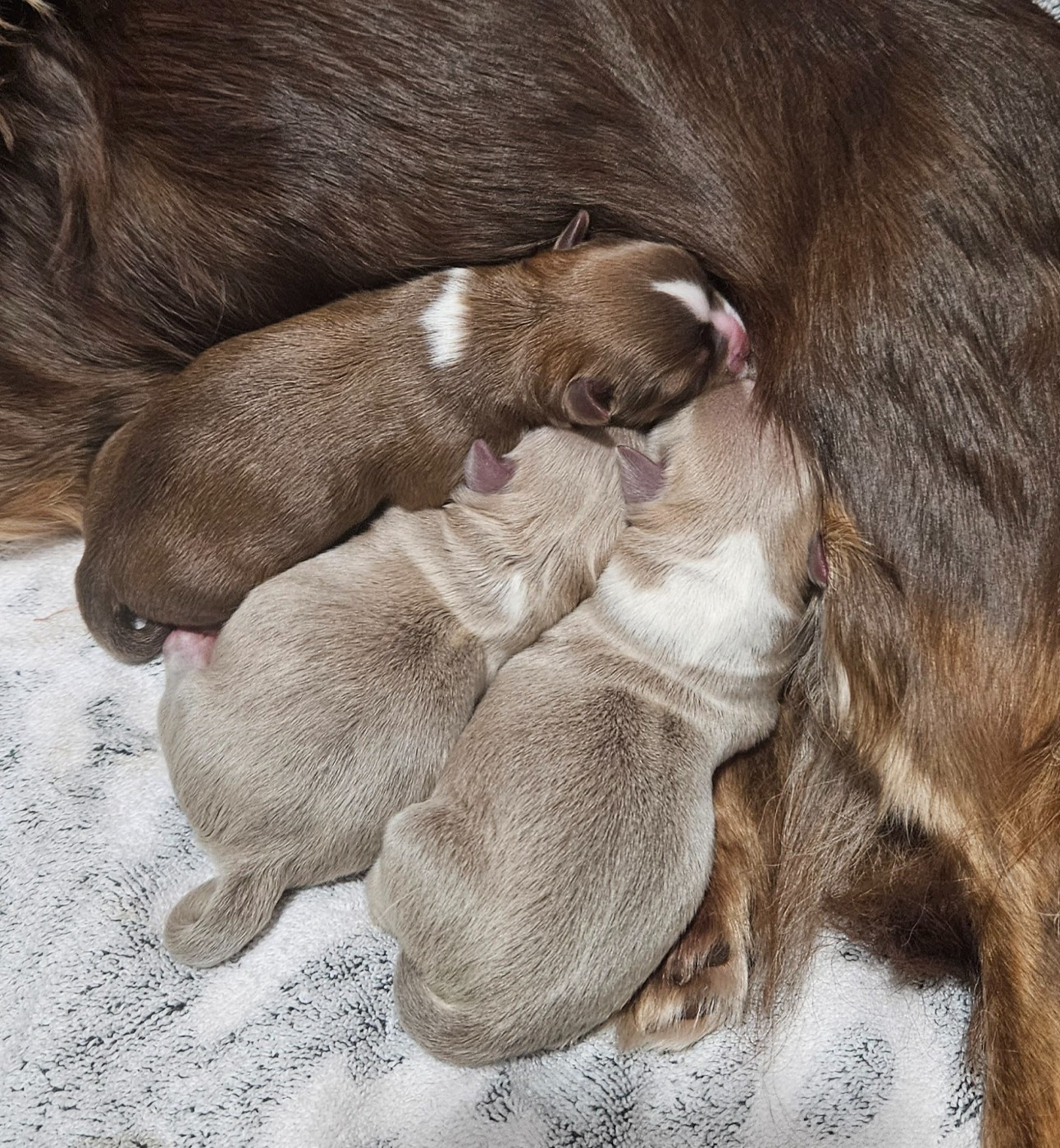 Naissance du 25 février 2026